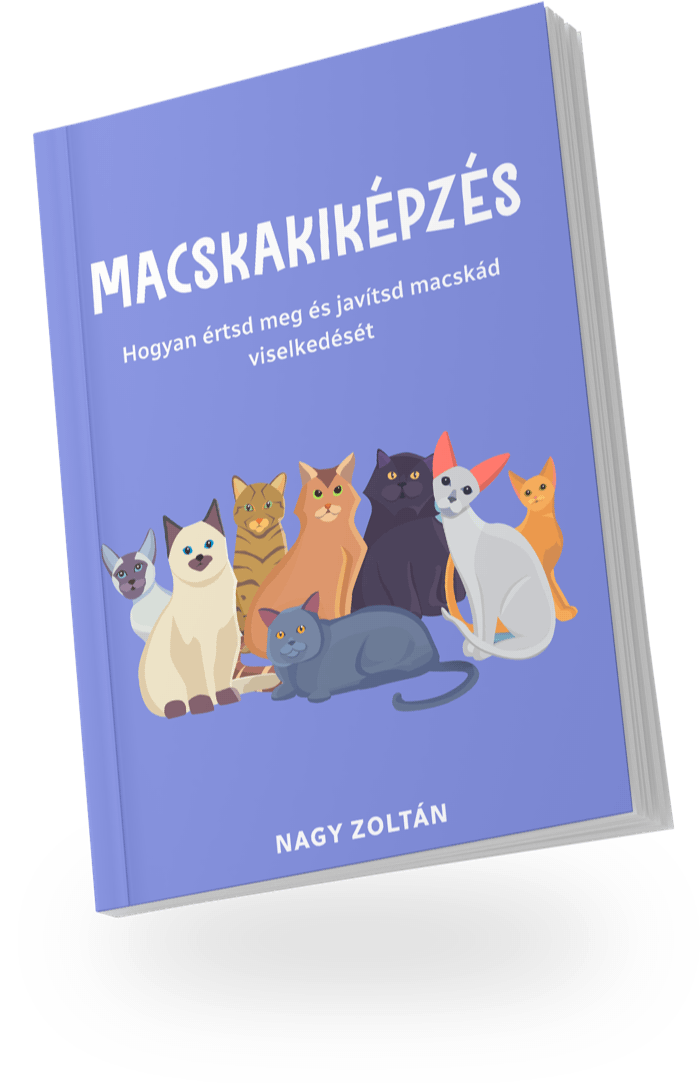 A játékos macska e-könyv borítója